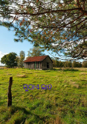 ମୁଠାଏ ଭାତ