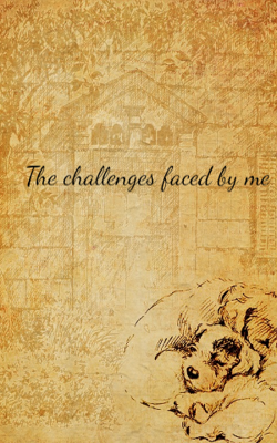 The Challenges Faced By Me
