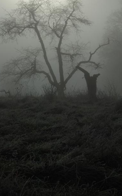 The Secret Renzo Carried