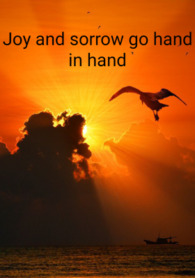 Joy And Sorrow Go Hand In Hand