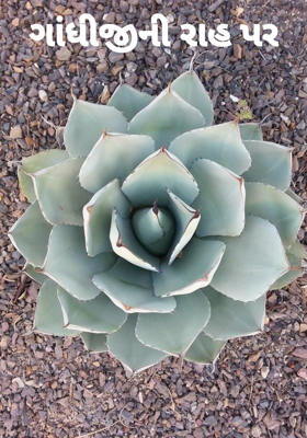 ગાંધીજીની રાહ પર