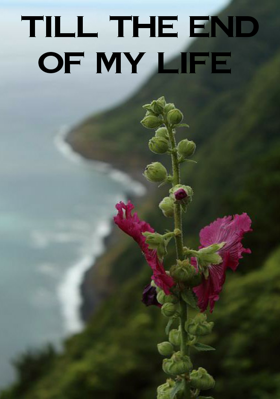 Till the end of my Life