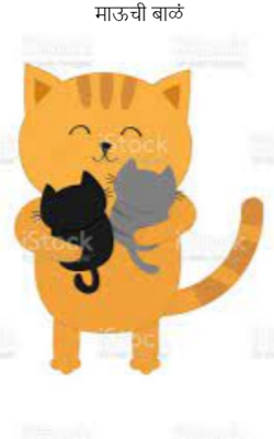 माऊची बाळं