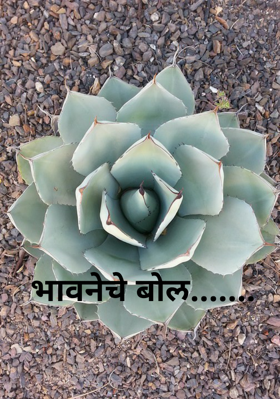 भावनेचे बोल