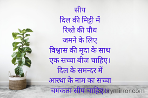 सीप
दिल की मिट्टी में
रिश्ते की पौध
जमने के लिए
विश्वास की मृदा के साथ
एक सच्चा बीज चाहिए।
दिल के समन्दर में
आस्था के नाम का सच्चा
चमकता सीप चाहिए।।