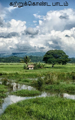 இயற்கையிலிருந்து கற்றுக்கொண்ட பாடம்