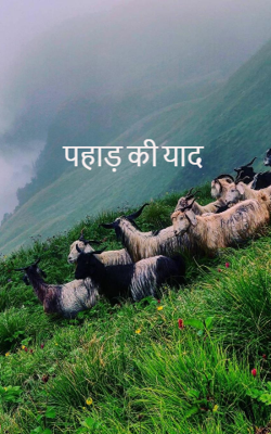 पहाड़ की याद