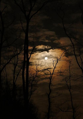 ଅପରାହ୍ନର ଜହ୍ନ