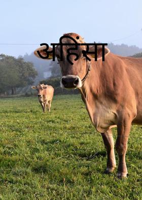 अहिंसा