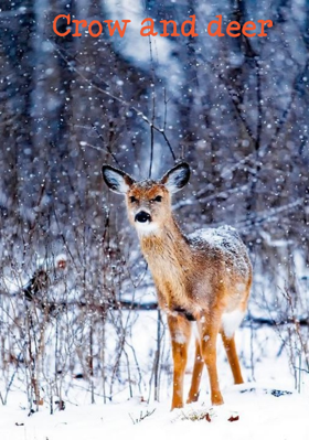 Crow and deer
