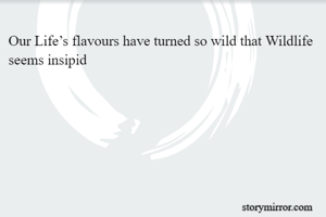 Our Life’s flavours have turned so wild that Wildlife seems insipid 