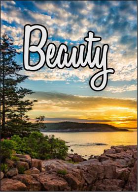 Beauty