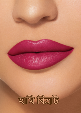 হামি বিভ্রাট