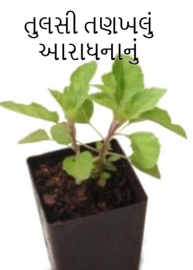 તુલસી તણખલું આરાધનાનું