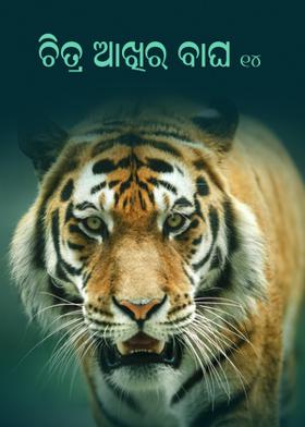 ଚିତ୍ର ଆଖିର ବାଘ - ୧୪
