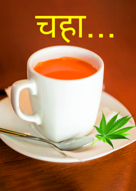 चहा...