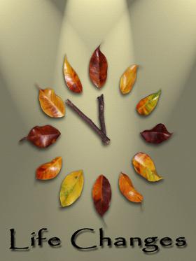 Life Changes