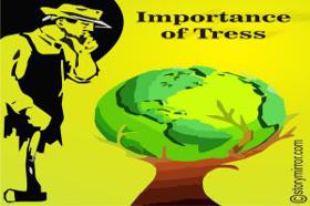 Importance Of Trees