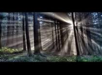 प्रेम और प्रकृति 