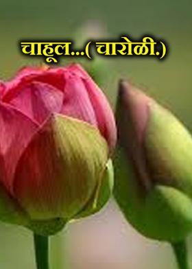 चाहूल...( चारोळी.)