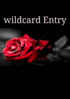 The Wildcard Entry