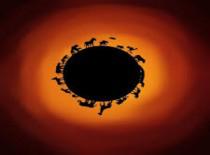 जीवन दिखता है 