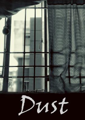 Dust