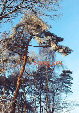 ડરામણું દ્રશ્ય