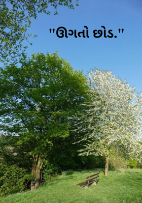 ઊગતો છોડ