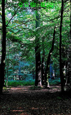 ବ ର ଷା   ପ ରେ