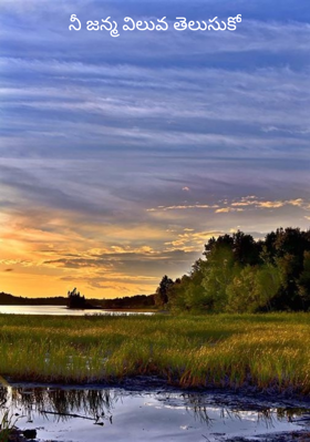 నీ జన్మ విలువ తెలుసుకో