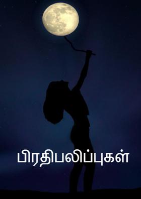 பிரதிபலிப்புகள்
