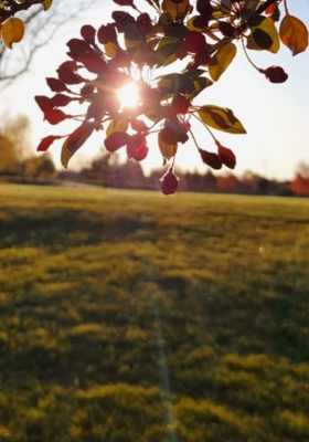 જગતનો નાથ