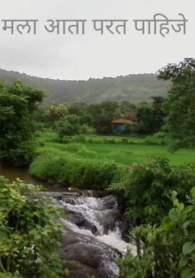 मला आता परत पाहिजे