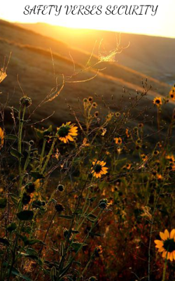 SAFETY VERSES SECURITY