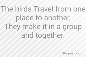 The birds Travel from one place to another,
They make it in a group and together.