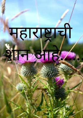 महाराष्ट्राची शान आहे...