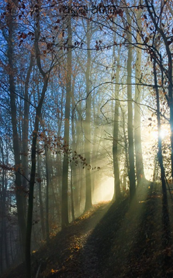 ଅଭୁଲା ଅତୀତ