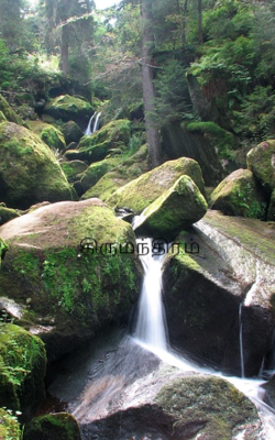 திருமந்திரம்
