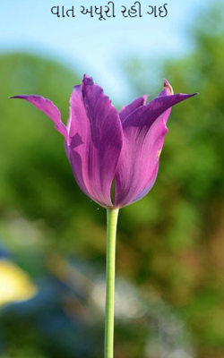 વાત અધૂરી રહી ગઈ