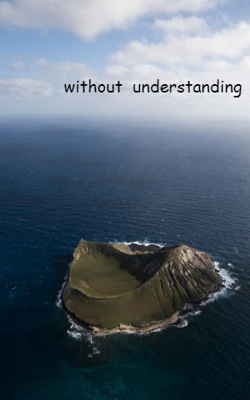 Without  Understanding