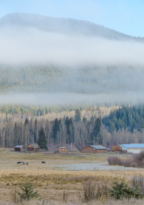 ପାପ ପୁଣ୍ୟ 