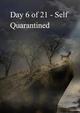 Day 6 of 21 - Self Quarantined