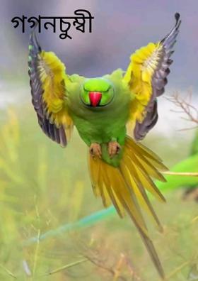 গগনচুম্বী