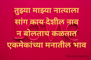 तुझ्या माझ्या नात्याला
सांग काय देशील नाव
न बोलताच कळतात
एकमेकांच्या मनातील भाव