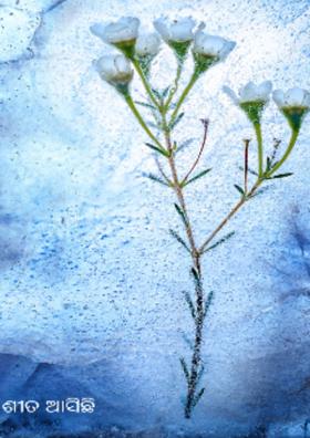 ଶୀତ ଆସିଛି