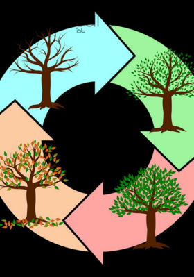 ପୋଢ଼ୁଆଁ ପରବ