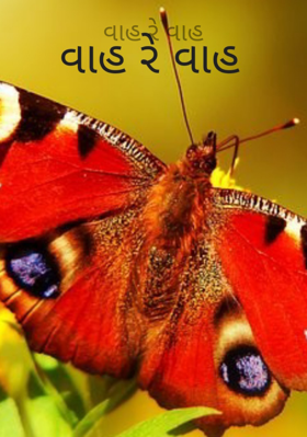 વાહ રે વાહ