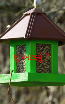 શું અટક્યું