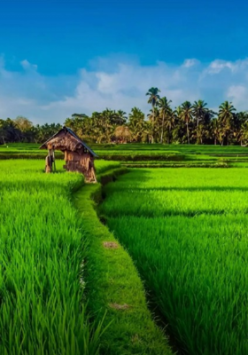 ଆଜି ସେ ସବୁ ଖାଲି